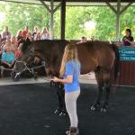 2019_OTRA_0573 (September 01, 2019)